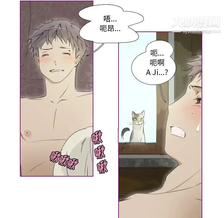 漫画《我的猫狗女友》第9话第5张图