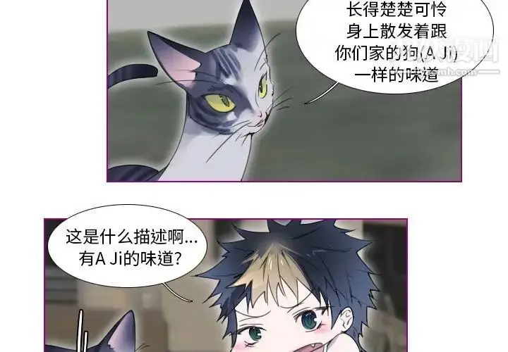 漫画《我的猫狗女友》第13话第2张图