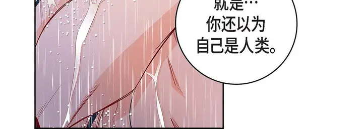 漫画《献给心脏》第98话第144张图