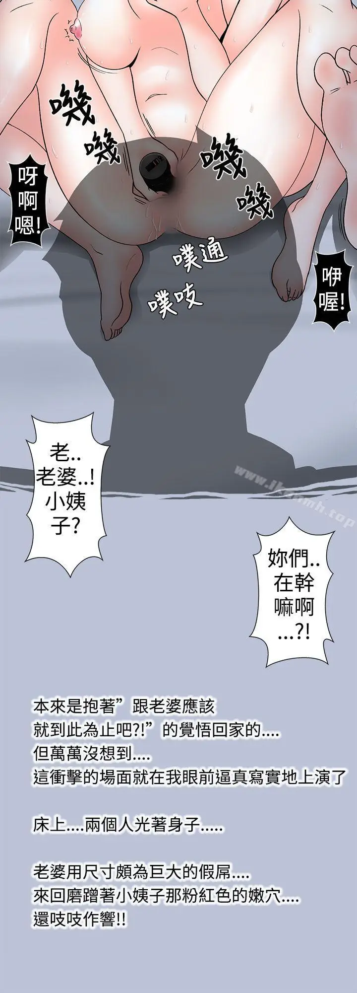 漫画《想入非非》小姨子与妻子(中)第14张图