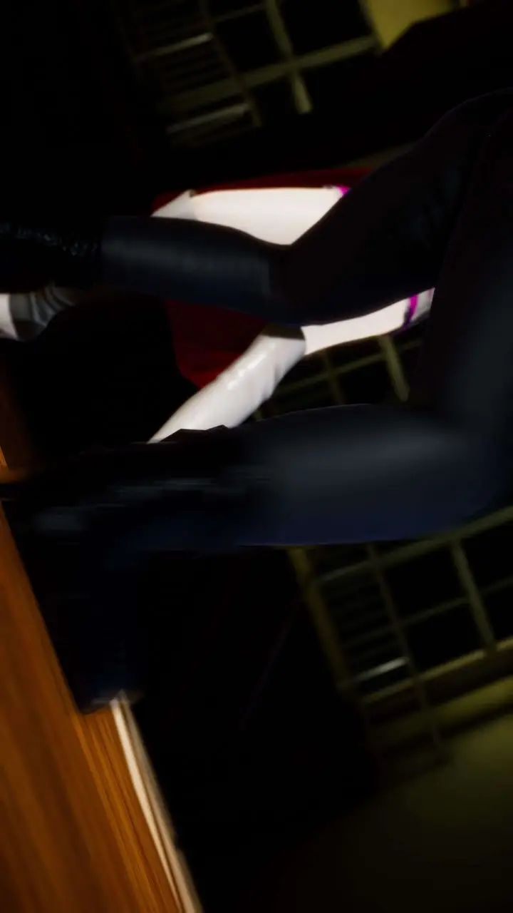 漫画《[3D]美少女假面冯迪妮》外传下第67张图
