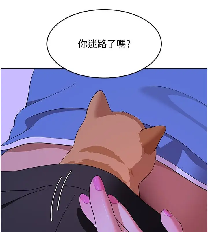 漫画《斯文坏猫猫》第7话第39张图