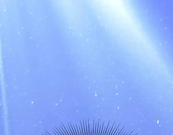 漫画《SSS级超越常理的圣骑士》第47话 周芸的职业？第183张图