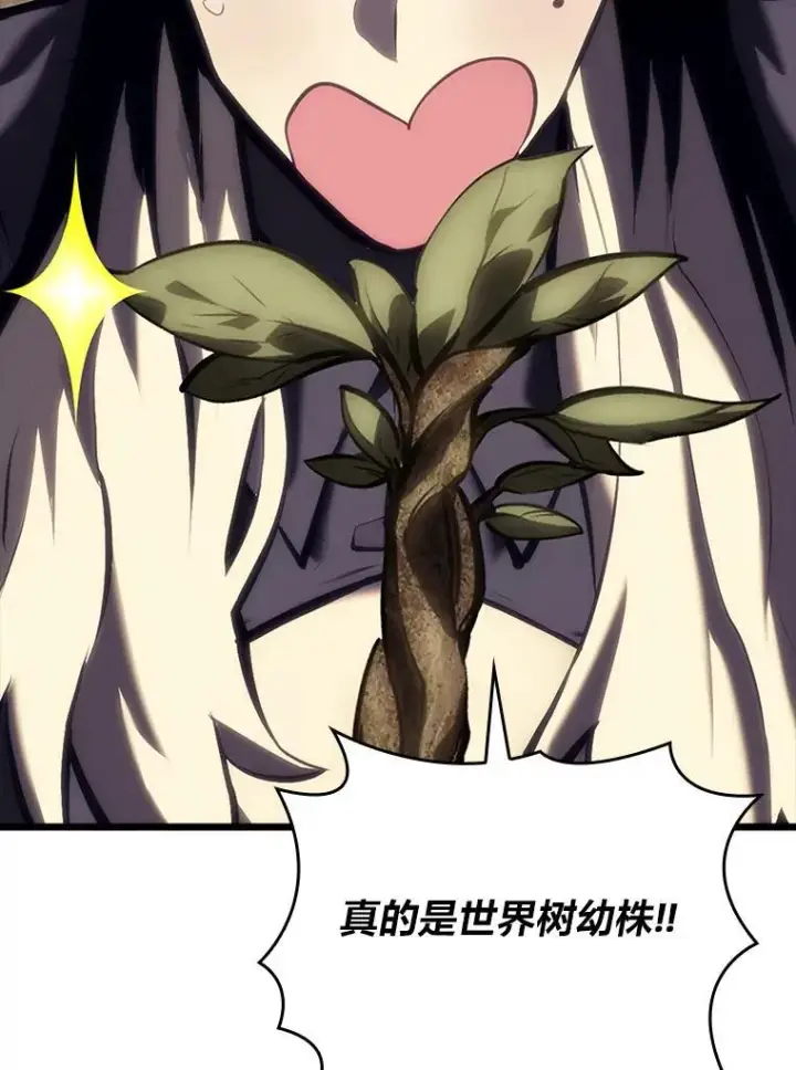漫画《SSS级狂战士回归》48.半精灵的认可第155张图