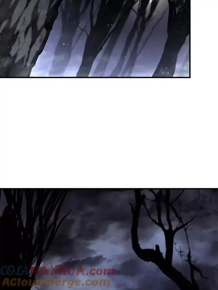 漫画《SSS级狂战士回归》54.血之烙印第13张图