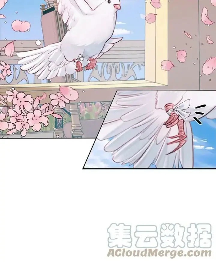 漫画《The Siren : 恶魔的契约家人》12.神秘来信第64张图