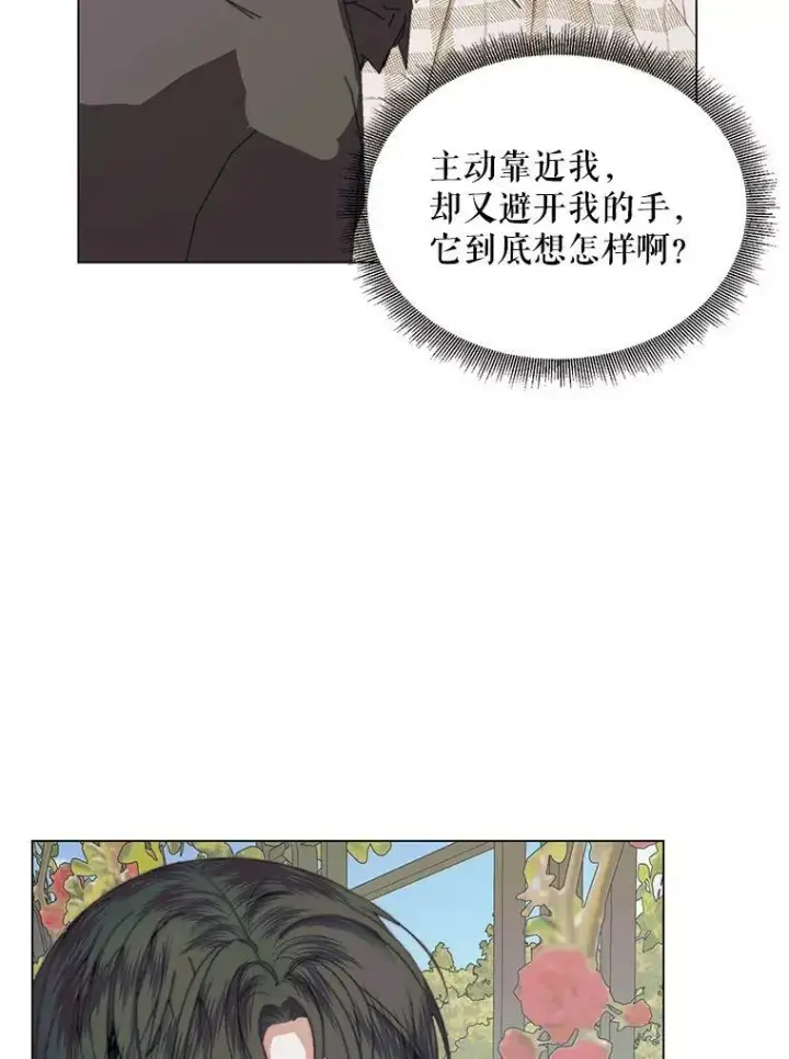 漫画《The Siren : 恶魔的契约家人》20.包扎第35张图