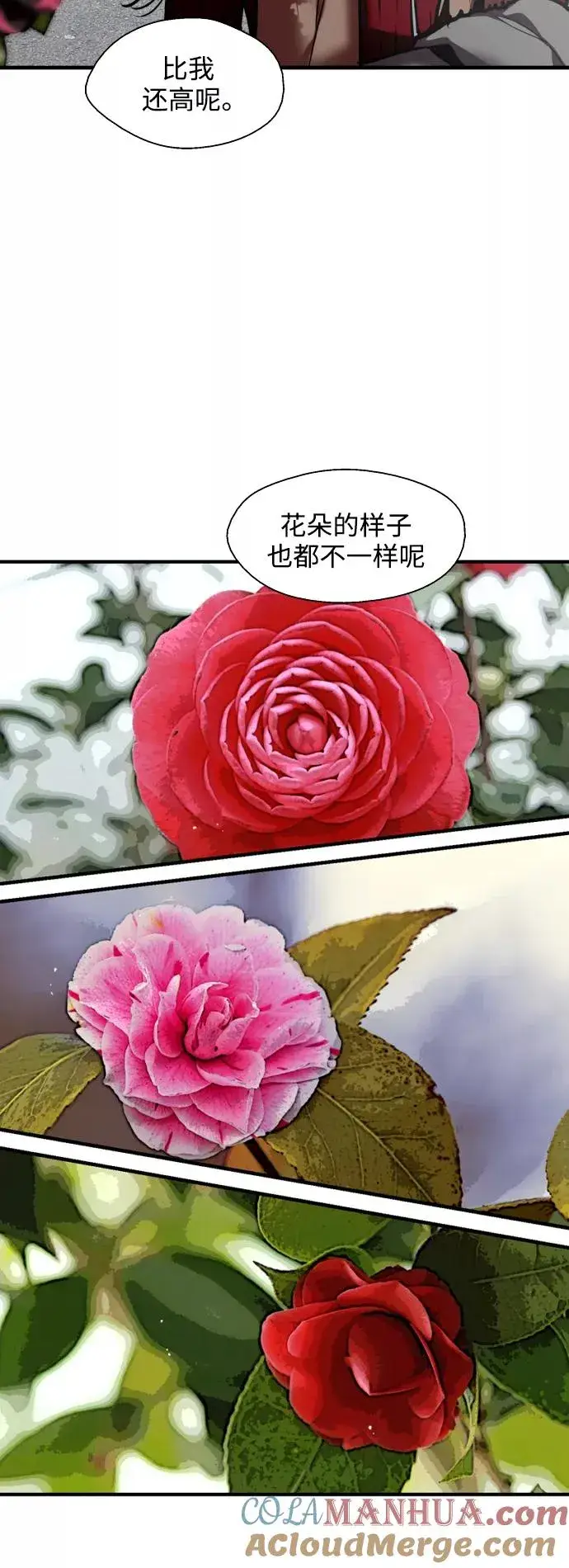 漫画《爱上姐姐的理由》[第128话] 倏然间，却那么第40张图