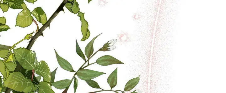漫画《拜托放过艾米丽小姐吧》第30话第32张图