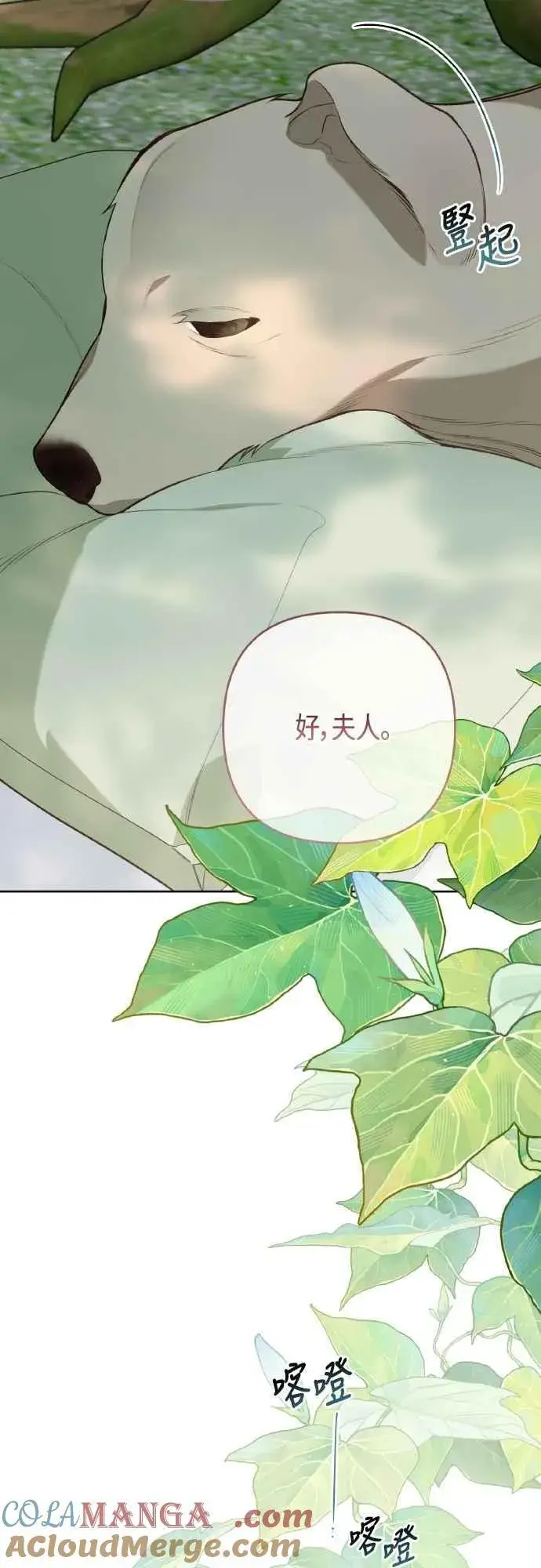 漫画《宝贝暴君》第94话 德彼和德波利尔夫人第22张图