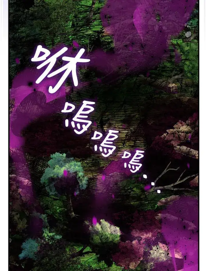 漫画《护爱之剑》第61话第60张图