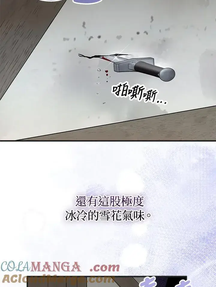 漫画《护爱之剑》第73话第117张图