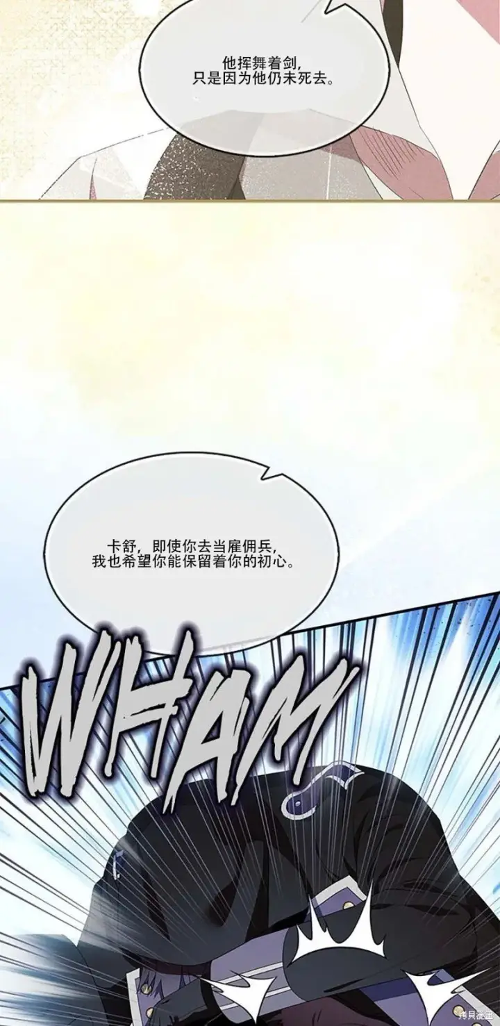 漫画《护爱之剑》第74话第41张图