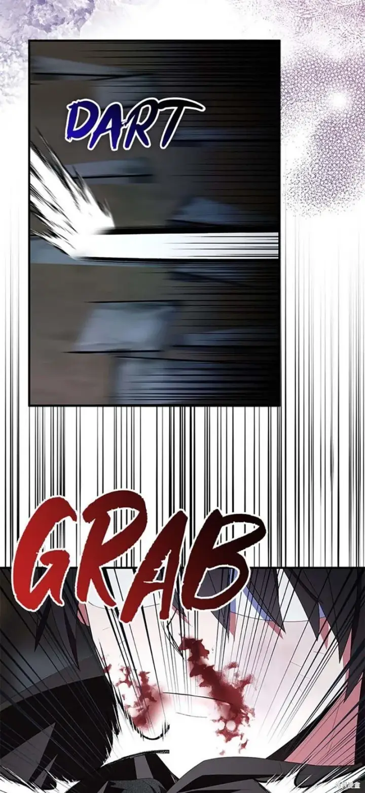 漫画《护爱之剑》第76话第29张图