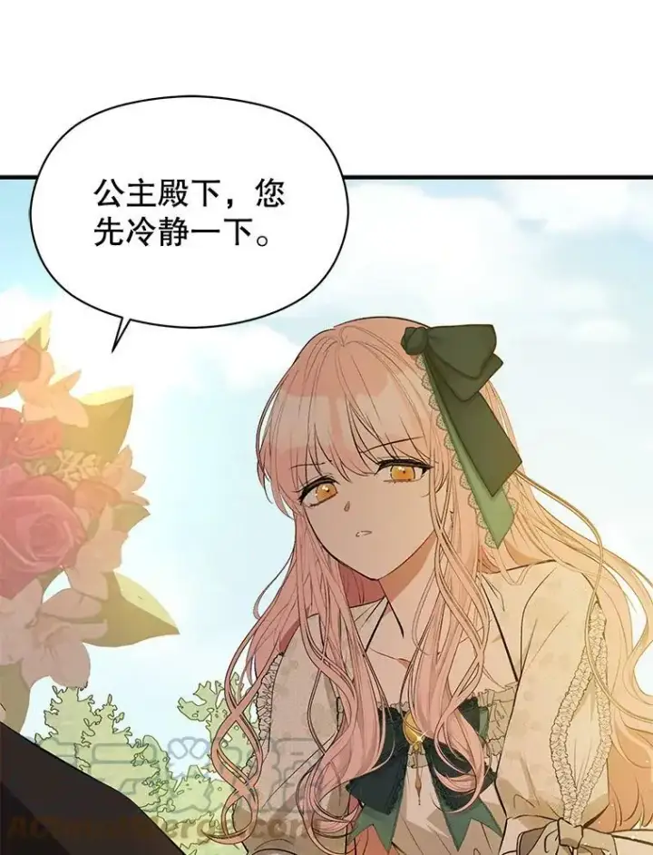 漫画《并不是想引诱男主》60.公主的传闻第65张图