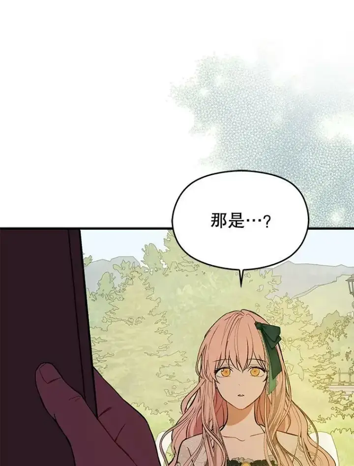 漫画《并不是想引诱男主》60.公主的传闻第96张图
