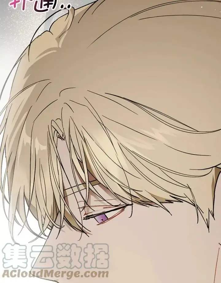 漫画《并不是想引诱男主》64.皇帝出面第49张图