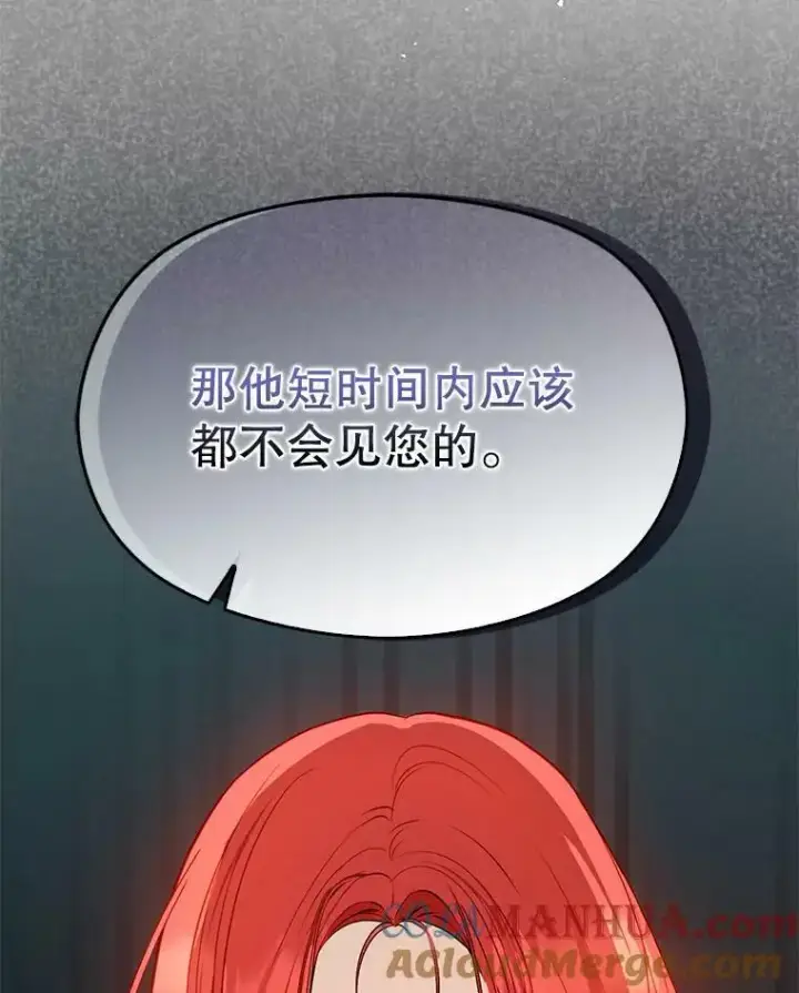 漫画《并不是想引诱男主》65.见不到利安第113张图