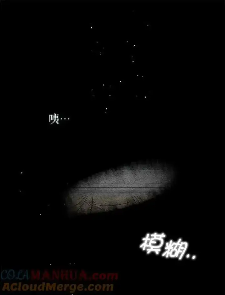 漫画《并不是想引诱男主》65.见不到利安第13张图