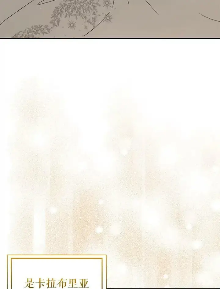 漫画《并不是想引诱男主》65.见不到利安第23张图