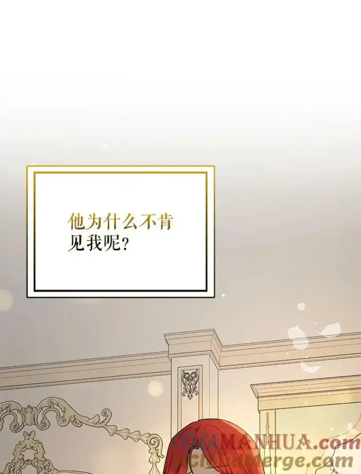 漫画《并不是想引诱男主》65.见不到利安第53张图
