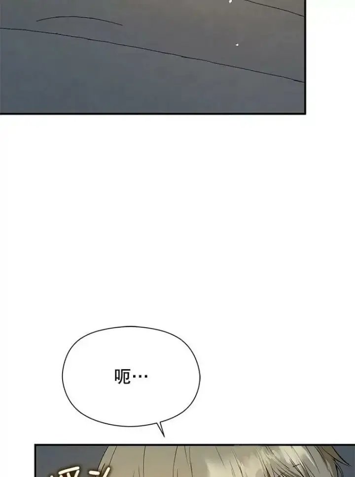 漫画《并不是想引诱男主》66.见到斯凯伊第27张图