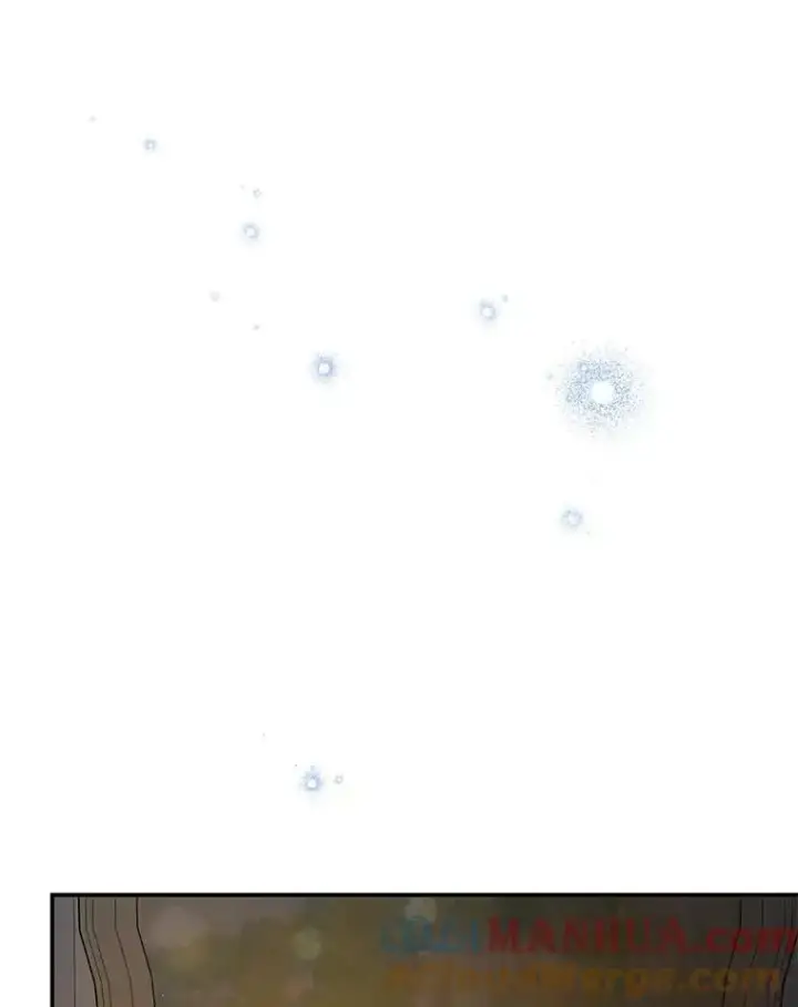 漫画《并不是想引诱男主》71.找到利安（本季完）第5张图