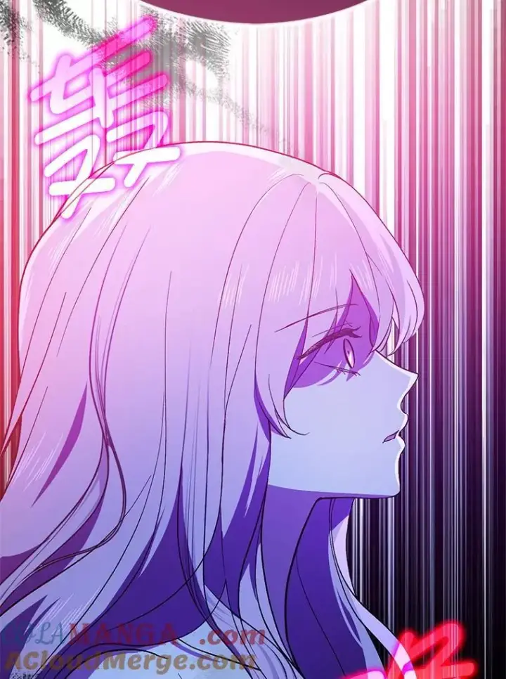 漫画《并不是想引诱男主》92.皇帝的决定第97张图