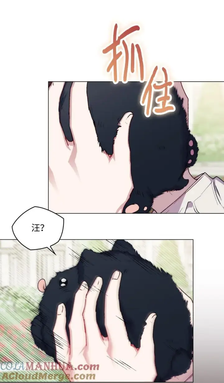漫画《陛下，这一生我会好好培养你！》88 母后是个爱哭鬼第37张图