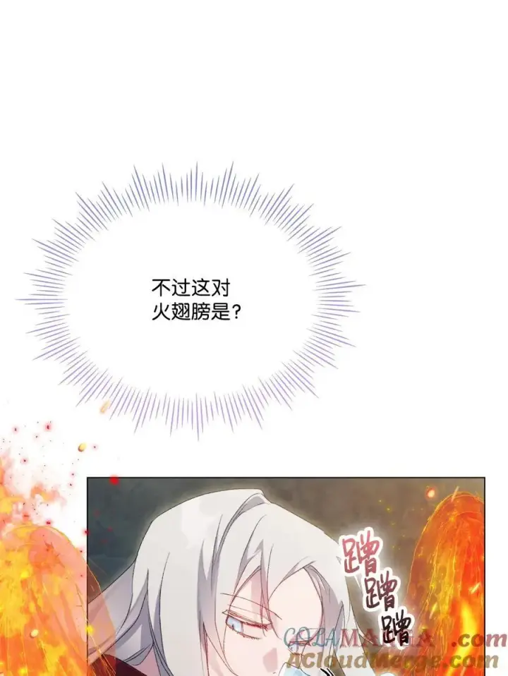 漫画《陛下，这一生我会好好培养你！》107 不明的火翅第45张图