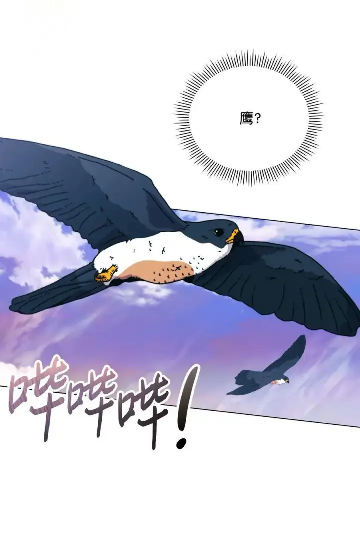 漫画《陛下，这一生我会好好培养你！》75 沙漠宝石第20张图