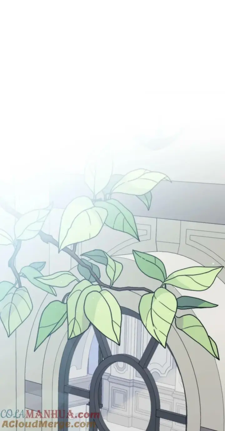 漫画《陛下，这一生我会好好培养你！》78 二皇妃的男人们第13张图