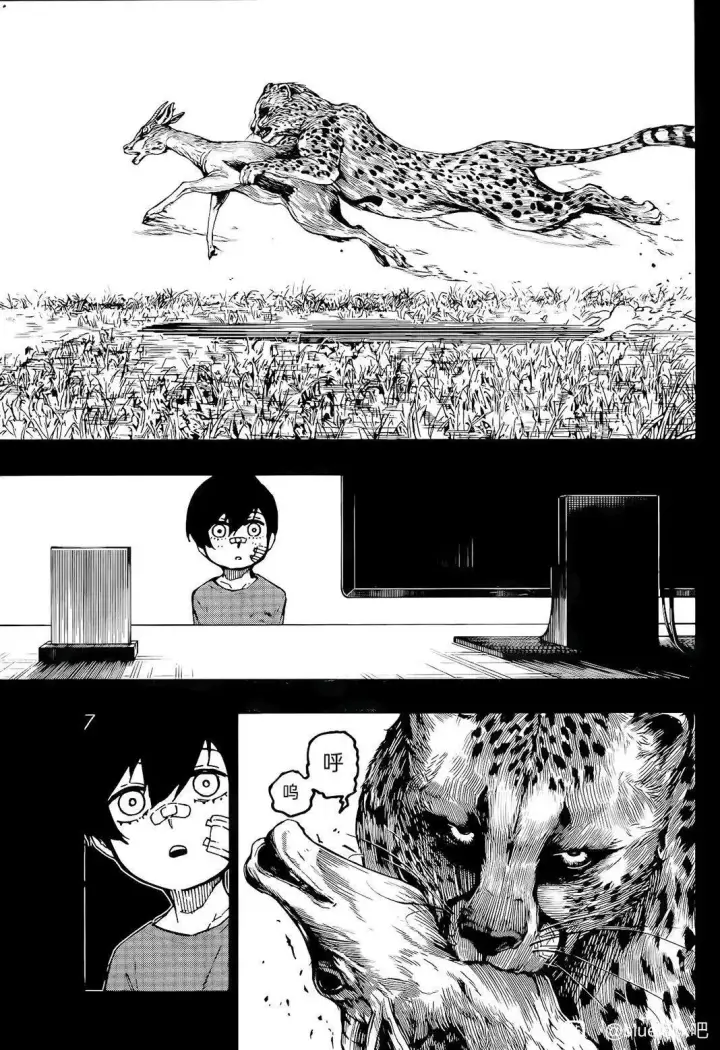 漫画《蓝色监狱 BLUE LOCK》第271话第9张图