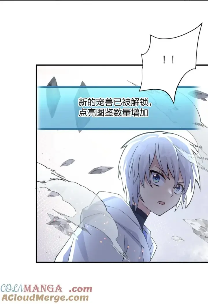 漫画《长的太像BOSS，结果世人真的信了》66 东域十二天盾第55张图