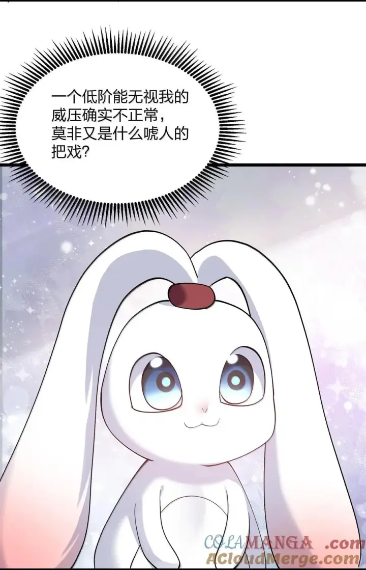 漫画《长的太像BOSS，结果世人真的信了》71 绯樱粉瞳vs月光兔第16张图