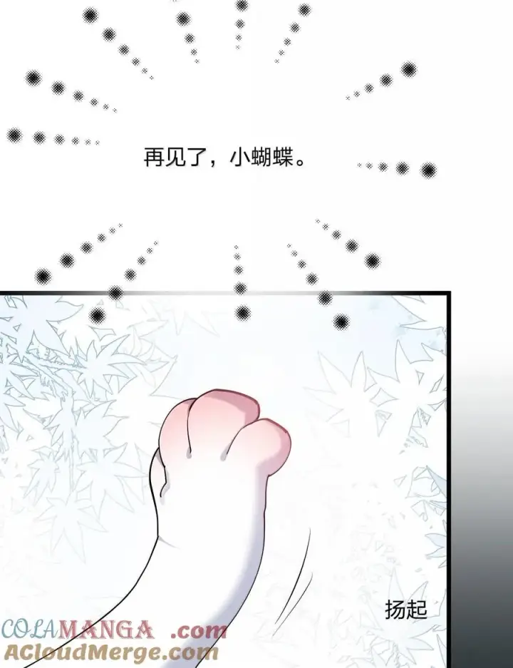 漫画《长的太像BOSS，结果世人真的信了》71 绯樱粉瞳vs月光兔第40张图
