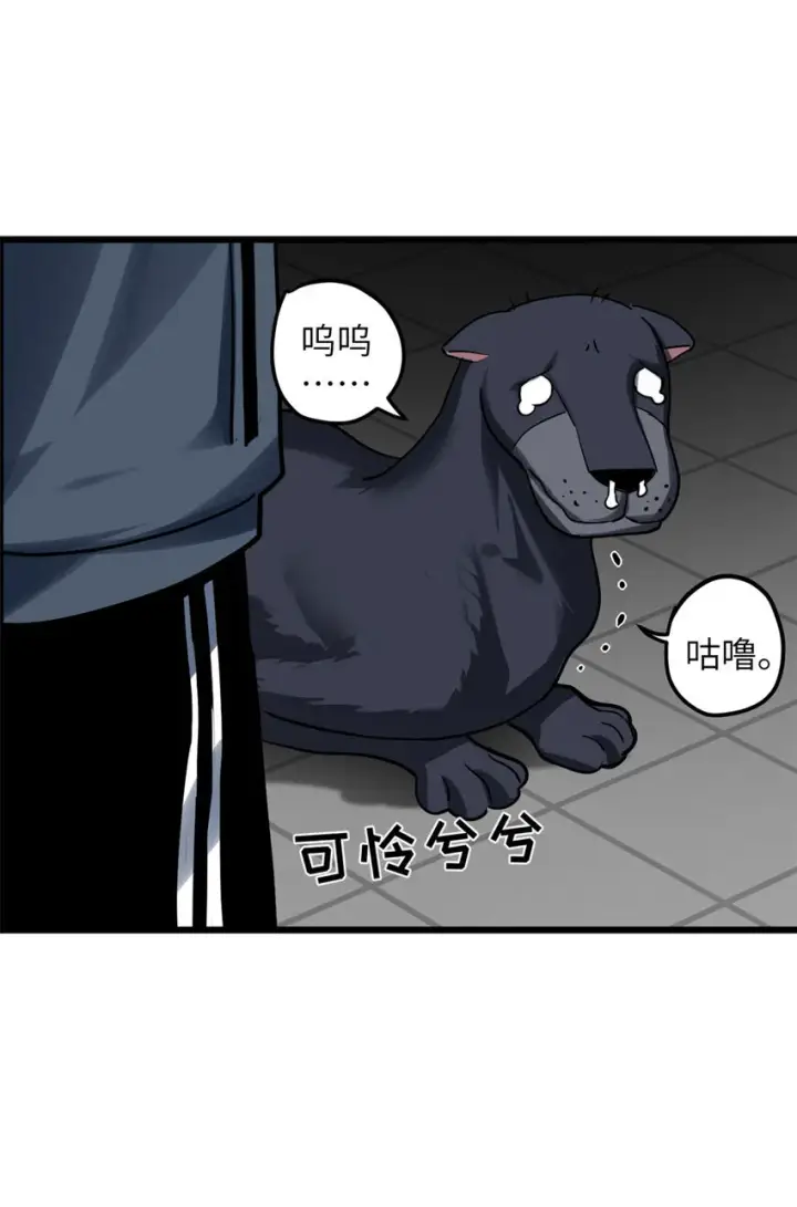 漫画《超神宠兽店》02 雷霆云海界！第13张图