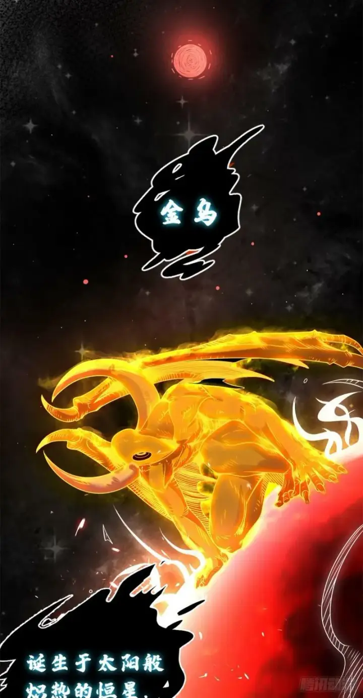 漫画《超神宠兽店》27 金乌神魔体！第27张图