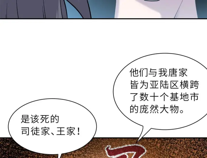 漫画《超神宠兽店》152 踏入传奇境！第143张图