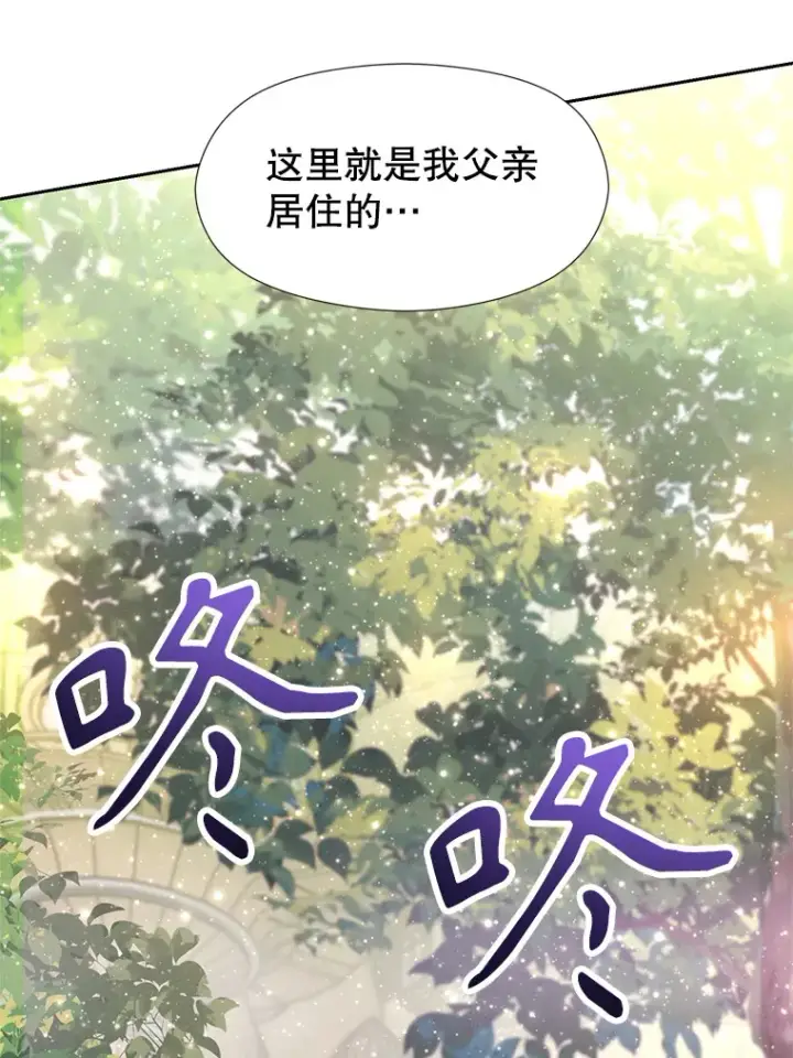 漫画《超越回归的大魔导师》39.面见精灵王第67张图