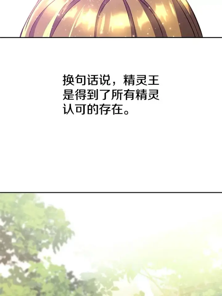 漫画《超越回归的大魔导师》39.面见精灵王第74张图