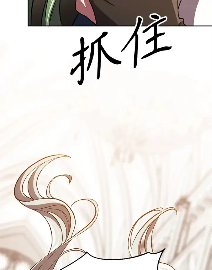 漫画《超越回归的大魔导师》49.见到赫考第18张图
