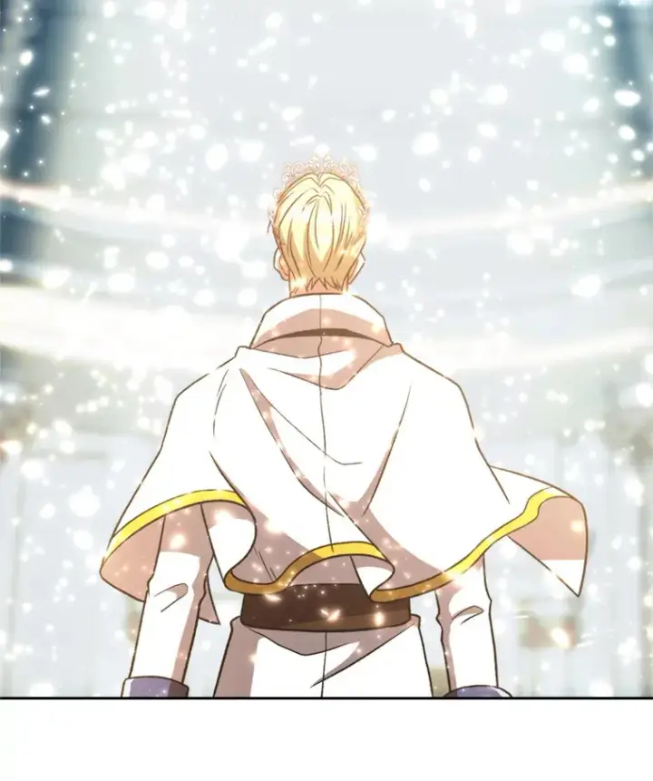 漫画《超越回归的大魔导师》71.荣任勇士第93张图