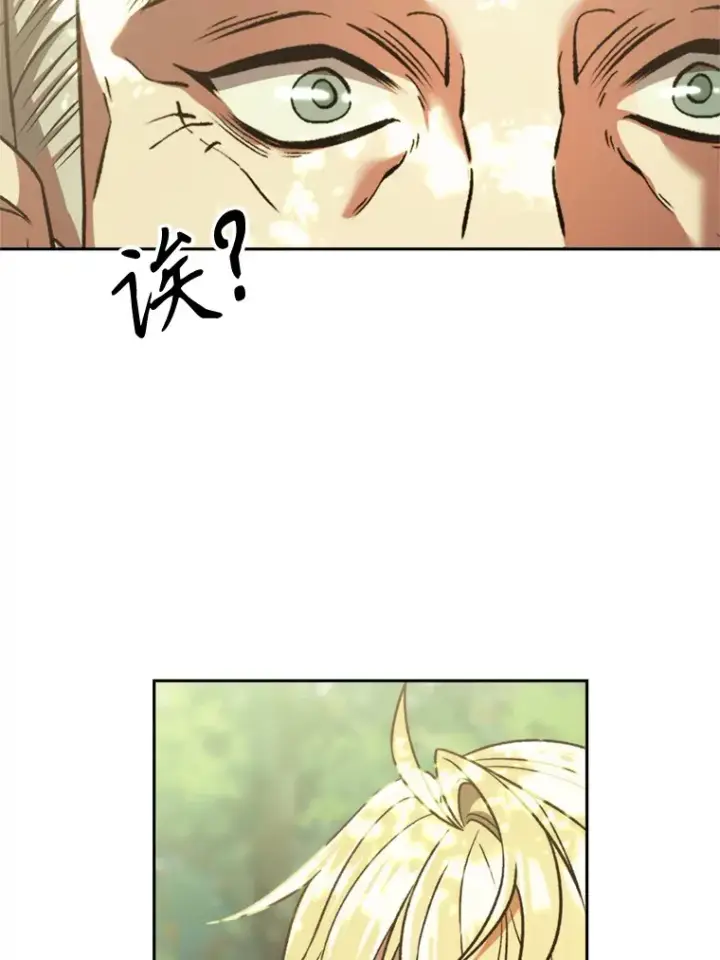 漫画《超越回归的大魔导师》75.打赌第98张图