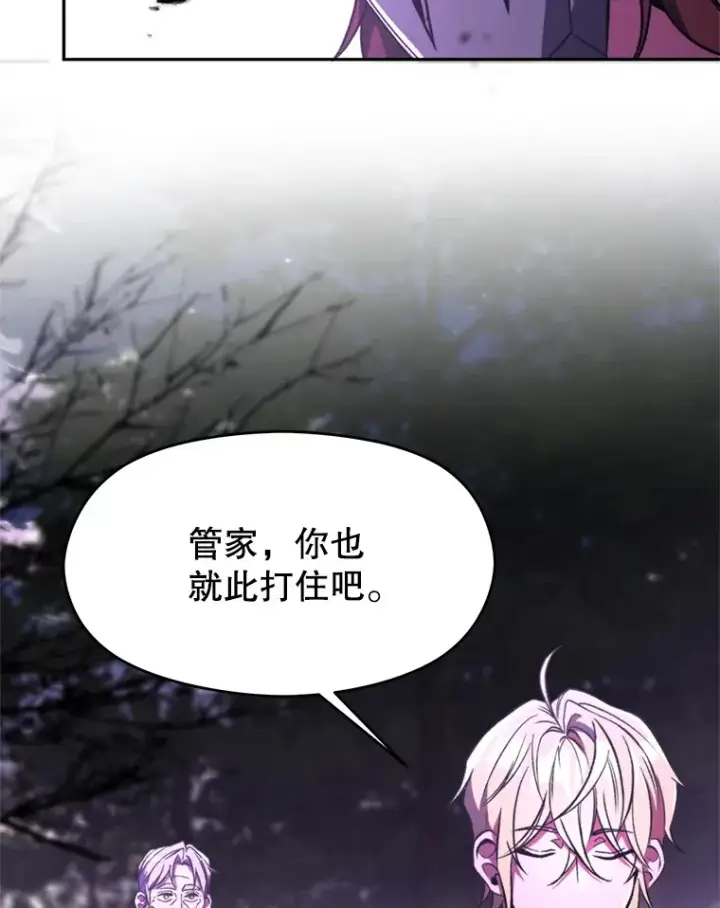 漫画《超越回归的大魔导师》77.伯爵之子第43张图