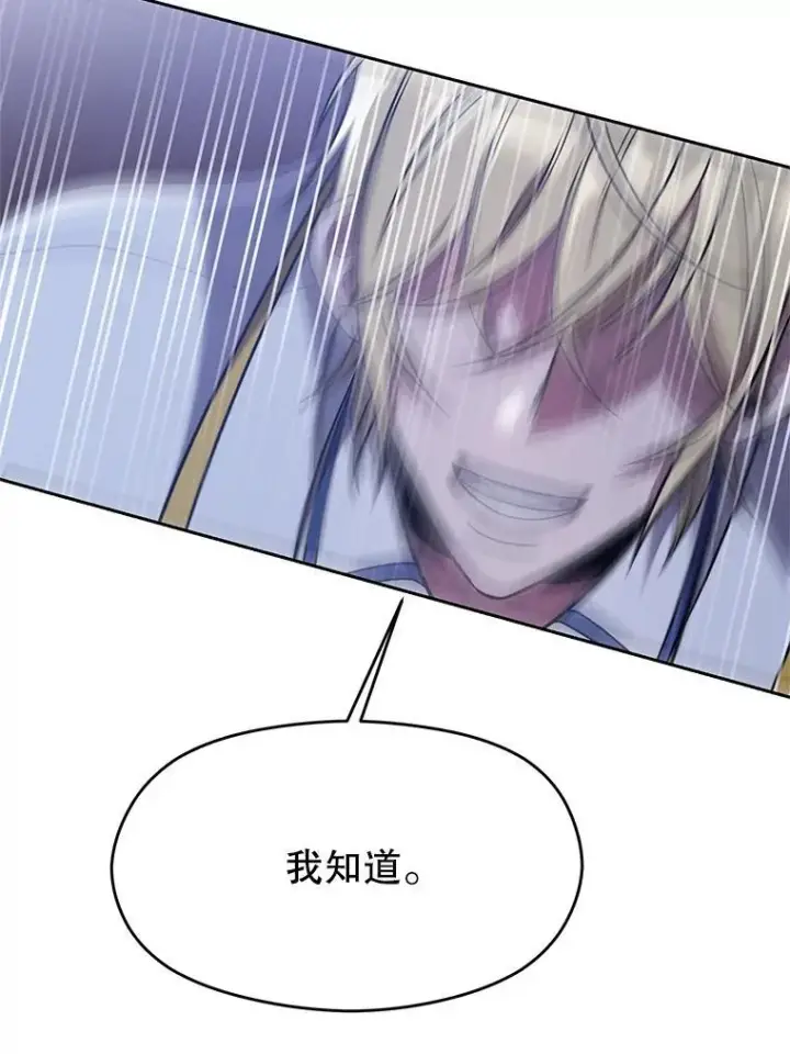 漫画《超越回归的大魔导师》87.米哈尔的计划第10张图