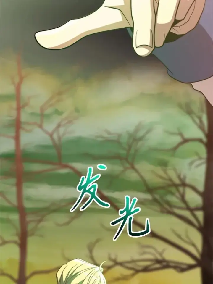 漫画《超越回归的大魔导师》89.皇帝的召见第30张图