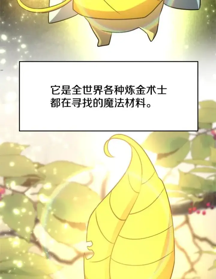 漫画《超越回归的大魔导师》91.抵达首都第16张图