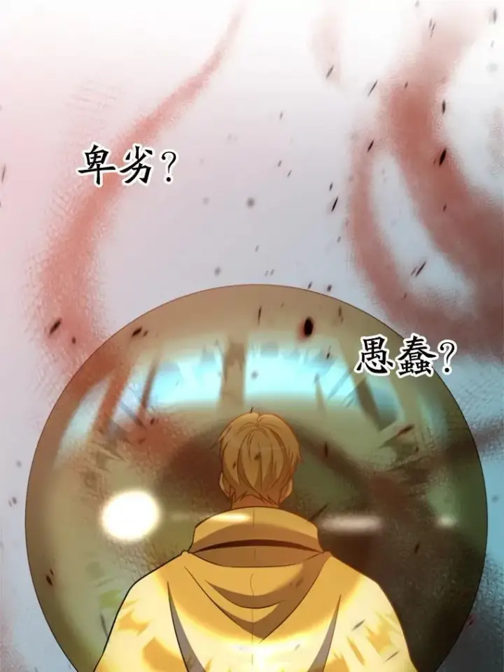 漫画《超越回归的大魔导师》96.面见皇帝第106张图