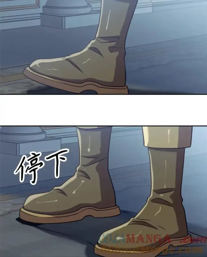 漫画《超越回归的大魔导师》96.面见皇帝第49张图